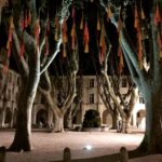Avignon: La Noctambule du Pape Night Tour - The Value of the Experience