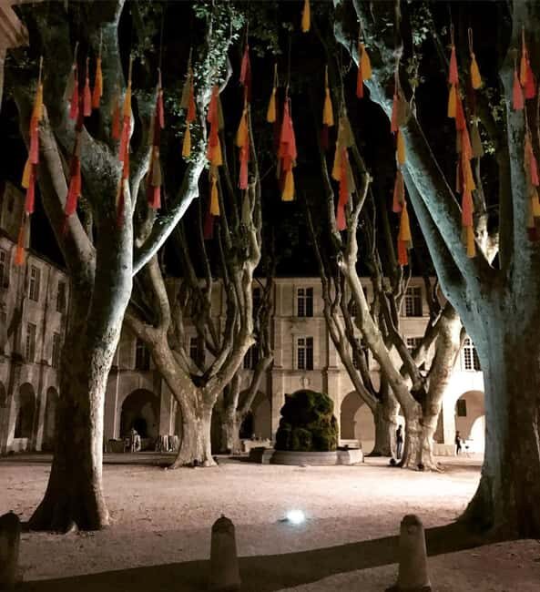 Avignon: La Noctambule du Pape Night Tour - The Value of the Experience