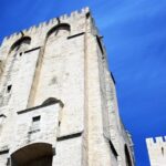 Avignon's history, local culture & the wines of Châteauneuf du Pape private tour - Strolling through Les Halles: Food, Flavors, and Local Life