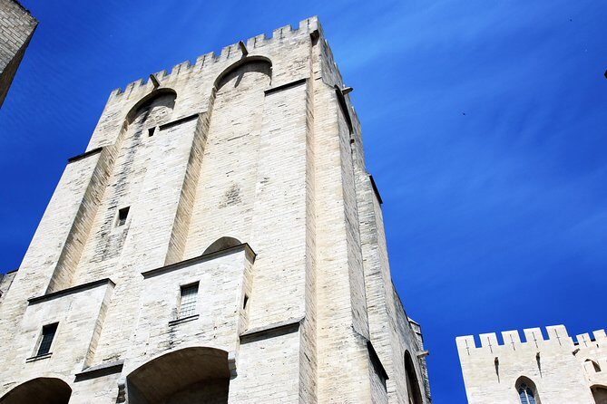 Avignon's history, local culture & the wines of Châteauneuf du Pape private tour - Strolling through Les Halles: Food, Flavors, and Local Life