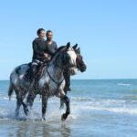 Awaken to Paros: A Scenic Morning Horseback Ride - Who Will Love This Tour?