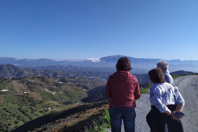 Axarquia VIP Wine Tour with Gourmet Winery Lunch Experience - Setting the Scene: The Charm of Mijas and Surrounding Villages