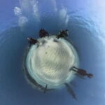 Ayia Napa: Musan Underwater Museum Scuba Dive with Transfer - What Makes the Underwater Museum Special?