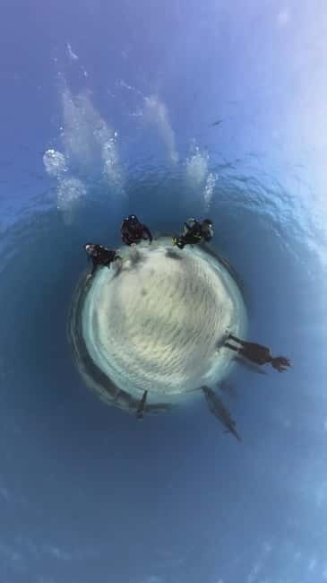 Ayia Napa: Musan Underwater Museum Scuba Dive with Transfer - What Makes the Underwater Museum Special?