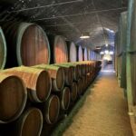 Azeitão: Horseback Riding, Tasting, Farms, and Cristo Rei - Behind the Scenes: What Makes This Tour Stand Out