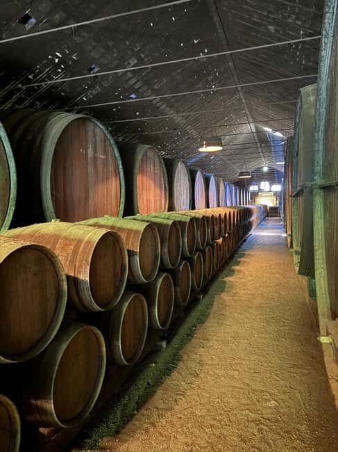 Azeitão: Horseback Riding, Tasting, Farms, and Cristo Rei - Behind the Scenes: What Makes This Tour Stand Out