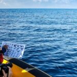 Azores Marine Birdwatching Expedition w/ Biologist Guide - Practical Details: Transport, Price, and What to Bring