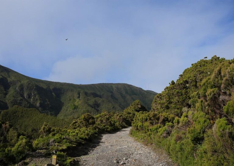 Azores: São Miguel and Lagoa do Fogo Hiking Trip - Why This Tour Works Well