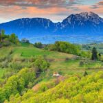 Azuga wine tasting on a day trip from Brasov - What Travelers Are Saying