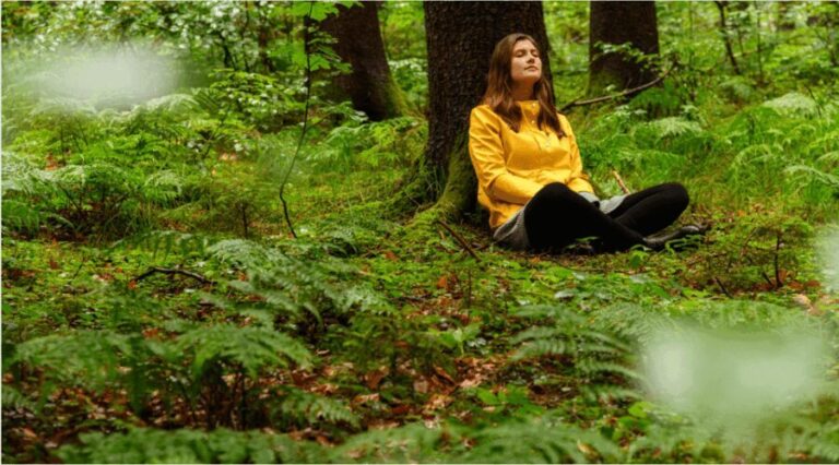 Bad Wörishofen: Shinrin-Yoku  Forest Bathing - The Sum Up