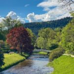 Baden-Baden: Guided tour along Lichtentaler Allee - Who Will Love This Tour?