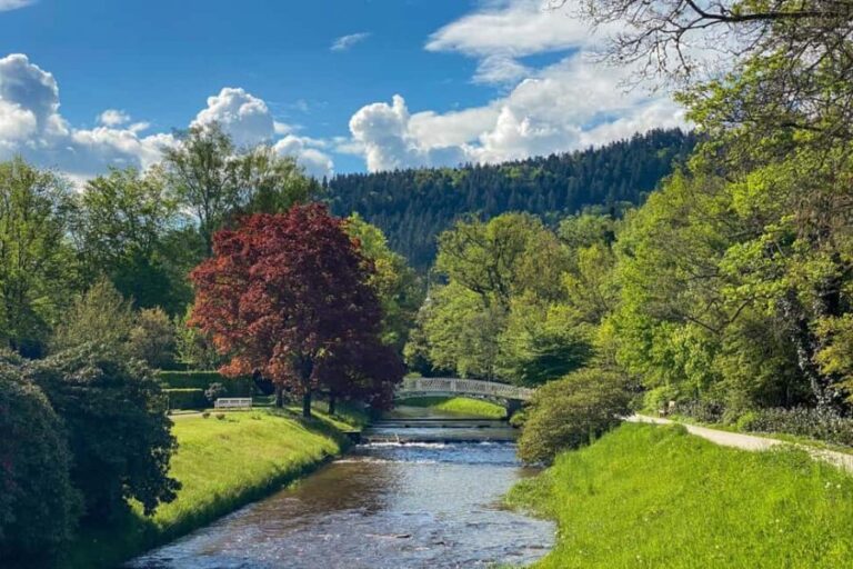 Baden-Baden: Guided tour along Lichtentaler Allee - Who Will Love This Tour?