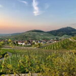 Baden-Baden: Private e-Mountainbike Tour with local Guide - Breaking Down the Itinerary