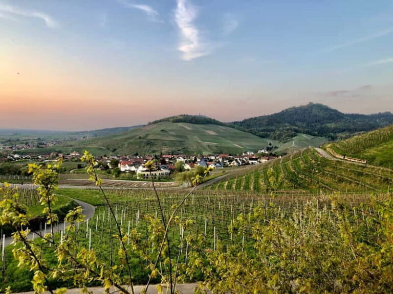 Baden-Baden: Private e-Mountainbike Tour with local Guide - Breaking Down the Itinerary