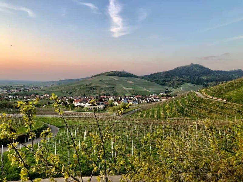 Baden-Baden: Private e-Mountainbike Tour with local Guide - Breaking Down the Itinerary