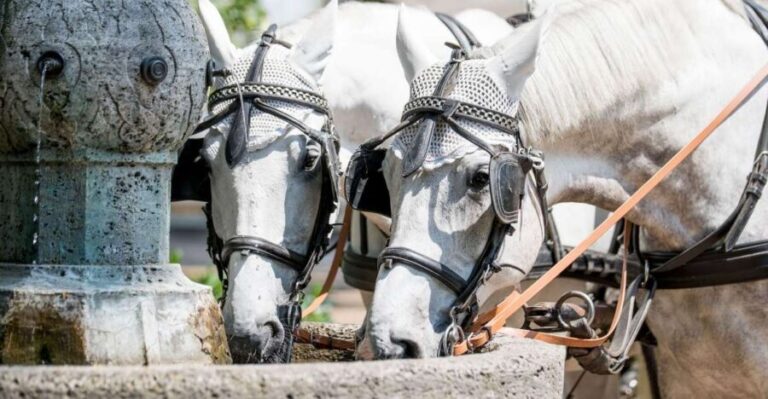 Baden-Baden: Private Walking Tour With A Professional Guide - Who Should Consider This Tour?