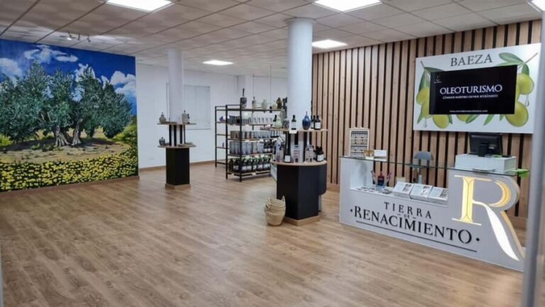 Baeza: Visit to an Organic Olive Grove + Oil Tasting - Is the Price Justified?