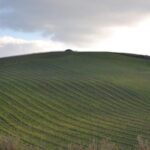 Baglio Florio Adamo: Oil Tasting - Who Will Love This Tour?