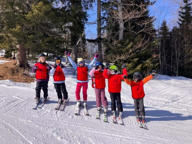 Bakuriani: Private or group Ski Lesson - Practicalities and Tips
