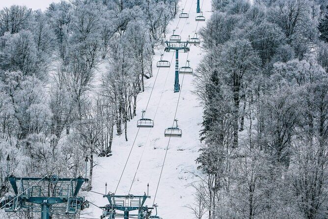 Bakuriani Ski Resort Private Day Tour from Tbilisi Snow Adventure - Practical Details and What You Can Expect