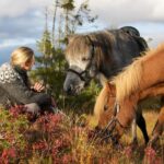 Bakvattnet: Pack horse trekking tour in Blomsterkogen - The Sum Up