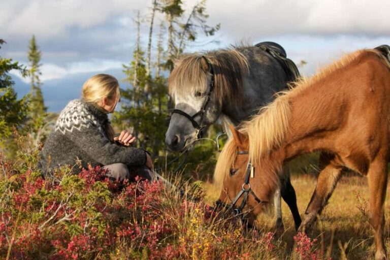 Bakvattnet: Pack horse trekking tour in Blomsterkogen - The Sum Up