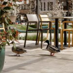 Balatonfüred: Zelna Wine Bistro Tasting Experience - What Makes This Experience Special?