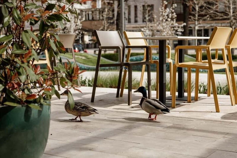 Balatonfüred: Zelna Wine Bistro Tasting Experience - What Makes This Experience Special?