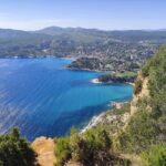 Bandol and Cassis: Full Day Wine Tour from Marseille - The Practicalities: What Does The Tour Include?
