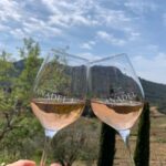 Bandol: family vineyard tour and tasting - An In-Depth Look at the Experience