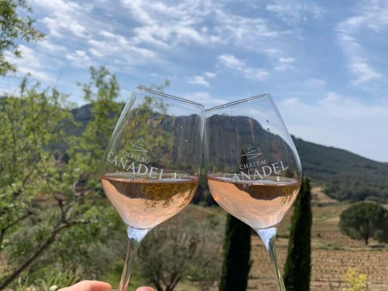 Bandol: family vineyard tour and tasting - An In-Depth Look at the Experience