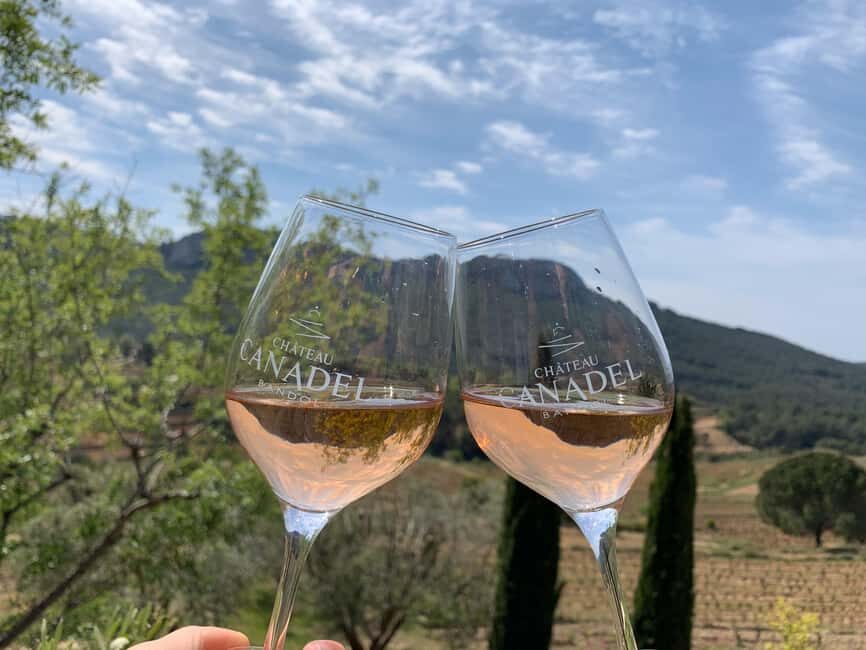 Bandol: family vineyard tour and tasting - An In-Depth Look at the Experience