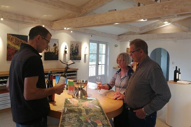 Bandol Wine Tour - 4 hour Private tour - A Deep Dive into the Experience