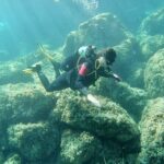 "Baptism of the Sea: Diving on the Island of Elba" - Final Thoughts: Is It Worth It?