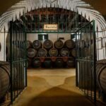 Barbadillo Winery Guided Tour in Cadiz with Wine Tasting - Deep Dive into the Itinerary
