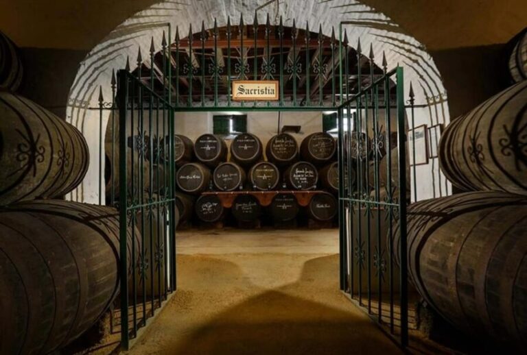 Barbadillo Winery Guided Tour in Cadiz with Wine Tasting - Deep Dive into the Itinerary