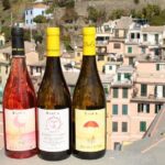 BarCa Winery Cinqueterre Trekking & Wine Tasting & Pesto Class - Who Would Enjoy This Tour Most?