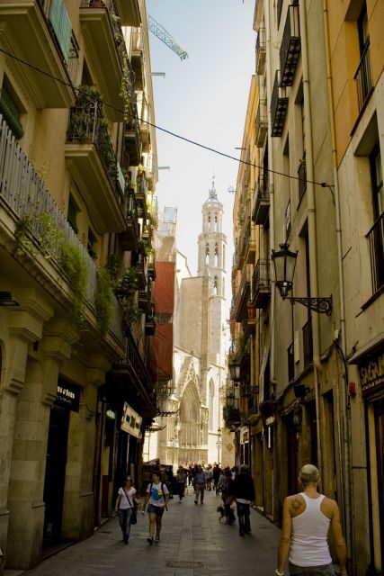 Barcelona: 4-hour Private Guided Walking Tour - Why This Tour Works