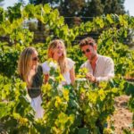 Barcelona: Alella Wine Tour with Tasting & Vineyard Picnic - Visiting the Historic Estate and Vineyards