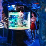 Barcelona Aquarium: Entry Ticket - The Experience from the Reviewers’ Perspective