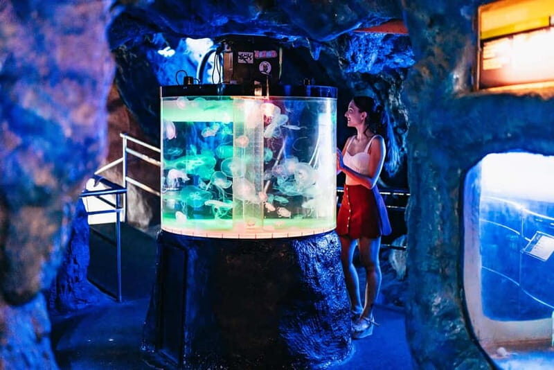 Barcelona Aquarium: Entry Ticket - The Experience from the Reviewers’ Perspective