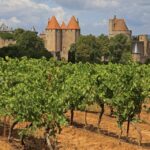 Barcelona: Carcassonne & Girona Tour - A Detailed Look at the Tour Experience