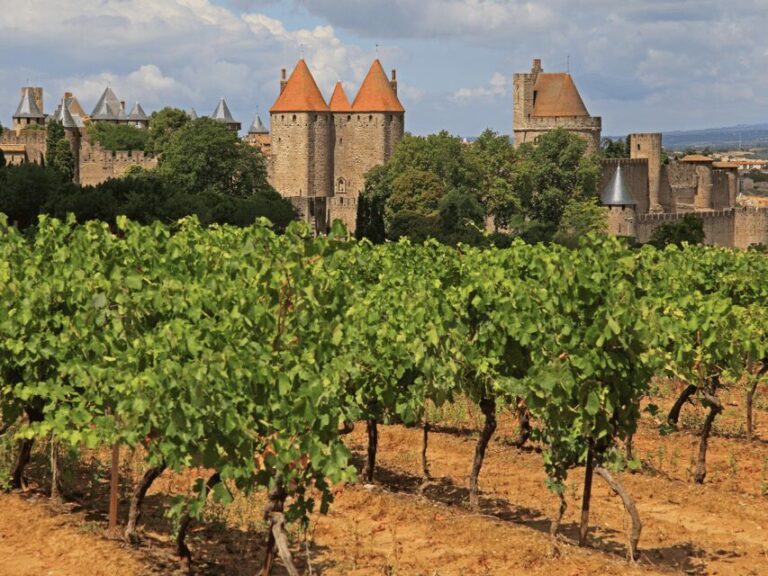 Barcelona: Carcassonne & Girona Tour - A Detailed Look at the Tour Experience