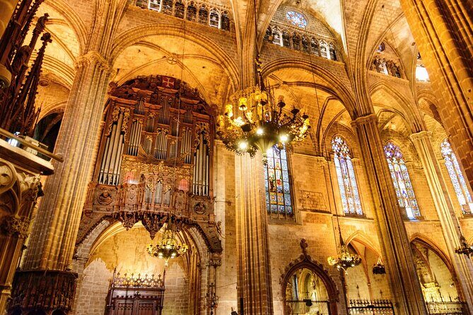 Barcelona Cathedral: Ticket, Guided Tour, Terrace + VR Experience - Practical Tips for Your Visit