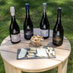 Barcelona: Cavas Hill - Winery Tour & Cheese Tasting - A Deep Dive into the Cavas Hill Experience