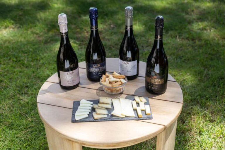 Barcelona: Cavas Hill - Winery Tour & Cheese Tasting - A Deep Dive into the Cavas Hill Experience