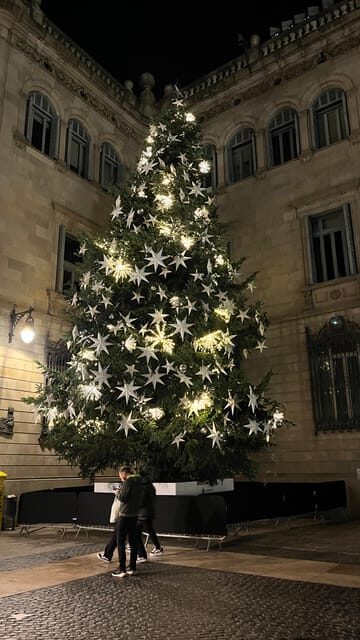 Barcelona: Christmas Lights and Markets Bike Tour - What’s Included and Practical Info