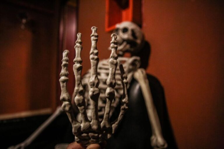 Barcelona: Escape Room Experience and Sailing Cruise - The Itinerary Breakdown