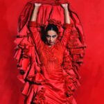 Barcelona: Flamenco Dance Class for Beginners at the Flamenco Theater - The Role of the Instructor