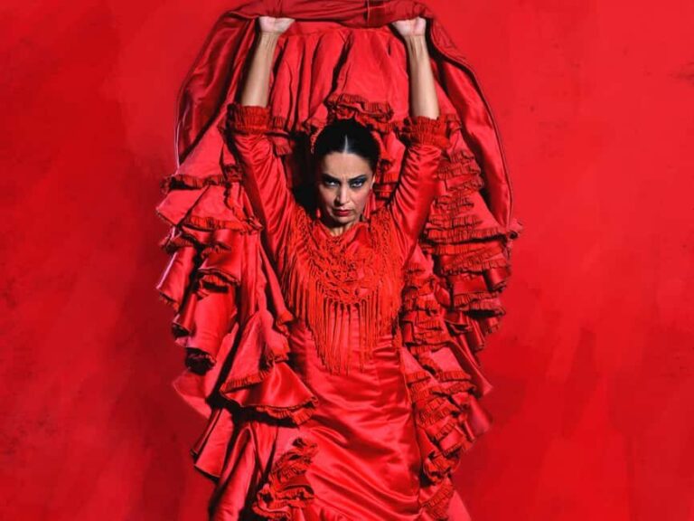 Barcelona: Flamenco Dance Class for Beginners at the Flamenco Theater - The Role of the Instructor
